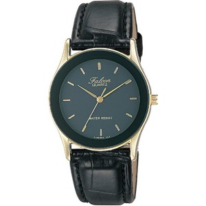 CITIZEN WATCH（シチズン時計） Q&Q ファルコン V708-850