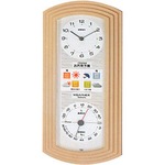 EMPEX（エンペックス） ウェザーパルEX・お天気時計 BW-5267