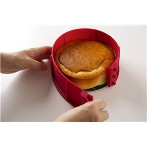 fleur DOLCEit[h`Fj VRP[L^15cm bh Vs{t摜Q
