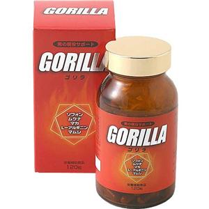 GORILLA�i�S�����j