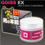 ゴイス　EX