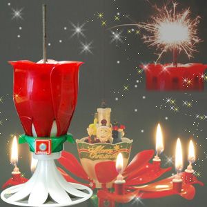 ǂ肫iDream CandlejyXmas Editionzy2Zbgz