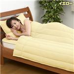 2���N�[���@�����Ђ��胊�o�[�V�u���P�b�g �C�G���[