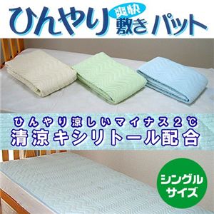 2���N�[���@�u���Ђ���~�p�b�h�@�V���O�� �u���[
