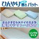 2���N�[���@�u���Ђ���~�p�b�h�@�V���O�� �A�C�{���[