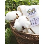 【期間限定】国産無添加エコテックス規格100認証　5重ガーゼケット【2枚組】