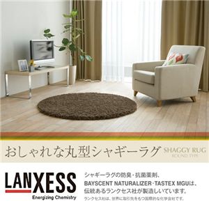 抗菌防臭機能付☆シャギーラグマット丸型 ベージュ 