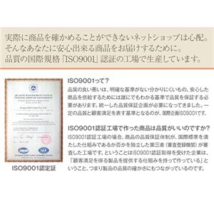 �R�ۖh�L�@�\�t���V���M�[���O�}�b�g�ی^ �x�[�W�� 
