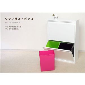 SOFY DUSTBIN4i\tB_Xgr4j摜1