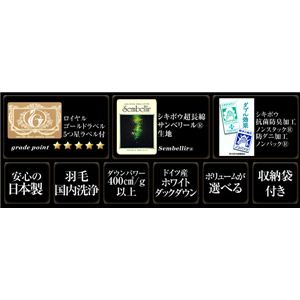 {CS[hx hCcYzCg_bN_E93%Hѕzc M[^CviSUj VO uE摜R