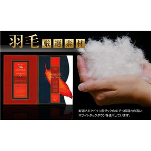 {CS[hx hCcYzCg_bN_E93%Hѕzc {[^CviSUj VO uE摜S