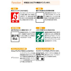 MVVM[O AXWFCh 140~200cm AC{[摜S