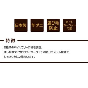 { ҂񂪂߂h_jJ[ybg v[h 190~240cm x[W摜R