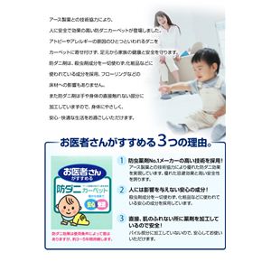 { ҂񂪂߂h_jJ[ybg v[t 200~200cm uE摜S