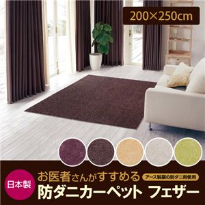 日本製 お医者さんがすすめる防ダニカーペット フェザー ムーンライトベージュ 200×250cm