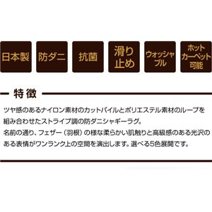 { ҂񂪂߂h_jJ[ybg tFU[ [Cgx[W 200~250cm摜R