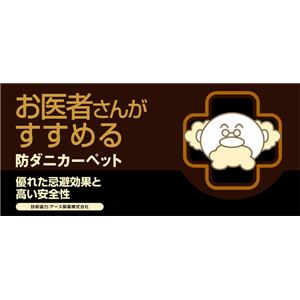 { ҂񂪂߂h_jJ[ybg tFU[ v`iVo[ 200~250cm摜Q