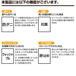 { ҂񂪂߂h_jJ[ybg tFU[ [Cgx[W 200~200cm摜S