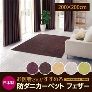 日本製 お医者さんがすすめる防ダニカーペット フェザー ロイヤルパープル 200×200cm 正方形