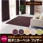 日本製 お医者さんがすすめる防ダニカーペット フェザー ロイヤルパープル 200×200cm 正方形
