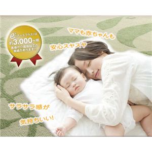 REBXERAQELEh_jO AbVi151101477Z2Y4jiNBj 130~190cm L摜S