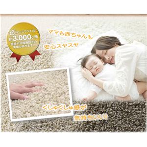 REBXERAQELEh_jEVM[O m[EBi151101462J022jiNBj 190~190cm uE摜S