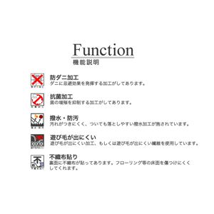 EhEh_jE_CjOO KibVi151101343N016jiNBj 240x330cm AC{[摜S