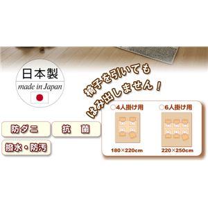 EhEh_jE_CjOO UCi151101541K429jiNBj 220~250cm CG[摜Q