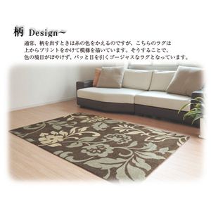 vgANZgO S[WXi151101528BW22jiNBj 195~245cm uE摜Q