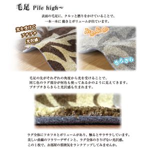 vgANZgO S[WXi151101528BW22jiNBj 195~245cm uE摜R