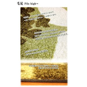 vgANZgO Zu[ti151101572Z202jiNBj 130~190cm x[W摜R