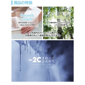 ڐG⊴-2Eh_jER N[O }[AiAWj 185~240cm sN摜Q