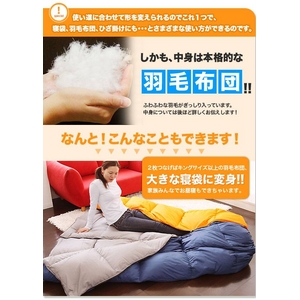 �z���C�g�_�b�N�_�E��85%�H�ѓ���Q�܁i�V�����t�j �l�C�r�[