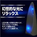 �A���}�f�B�t���[�U�[ 2008