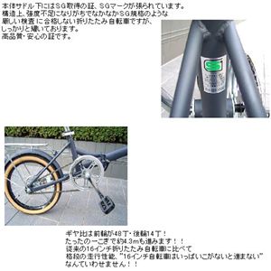 �ō��i���r�f�}�[�N�擾16�C���`�܏􎩓]�� ���[�Y���b�h
