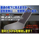 抗菌防臭！銀糸使用のAGイオンソックス5足セット
