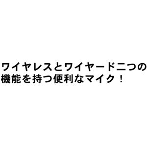 ���C�����X 2WAY�}�C�N