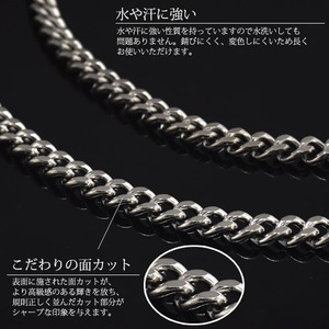 `^LwCuXbg  8.4mm/ 18cm摜R