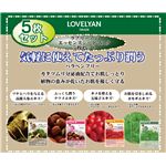 ラブリーアン エッセンスシートマスク 4種 各5枚（計20枚組）