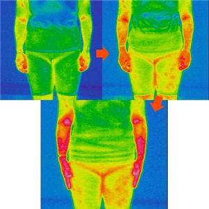 ３Ｄウェーブマッサージ　ダイナセルM