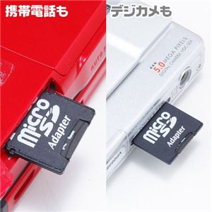 TRANSCEND microSD 1GB
