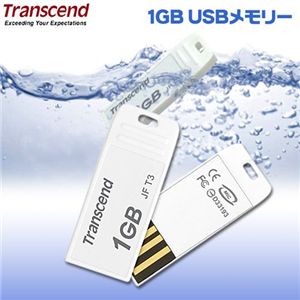 wTranscend 1GB USB[ T3x