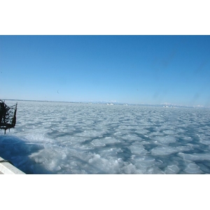 年に一度の流氷明け毛蟹 3尾セット