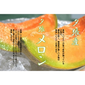 共選夕張メロン（品質【秀】）1.3ｋｇサイズ２玉（中）