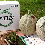 ���I�[���������i�i���y�ǁz�j1.3�����T�C�Y�R�ʁi���j