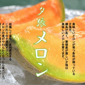 共選夕張メロン（品質【良】）1.3ｋｇサイズ３玉（中）
