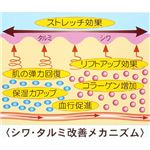 タイビューティ リンクルクリーム
