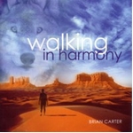 【Walking In Harmony CD】ヒーリング音楽NEW WORLD