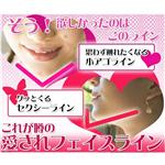 �v�����Z�X�t�F�C�X�G�b�Z���X