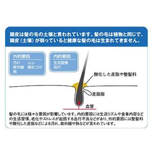 頭皮洗浄ブラシ モミダッシュ PRO